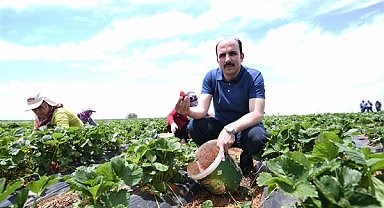Başkan Altay: Hüyük çileği, AB tescili alan Konyamızın ilk ürünü oldu, hayırlı olsun