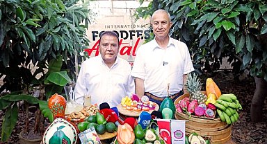 Başkan Böcek ve Başkan Özçelik Alanya’da tropikal meyve hasadı yaptı