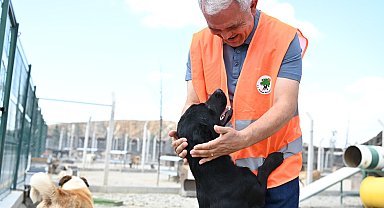 Başkan Şahin, Hayvan Rehabilitasyon Merkezi’ni ziyaret etti