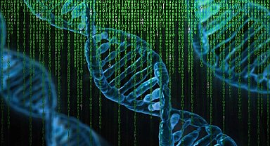 Bilim insanları 3 bin 600 yıllık peynirin DNA'sını diziledi