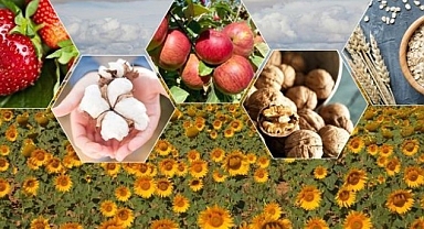 BİTKİSEL ÜRETİME YÖNELİK TARIMSAL DESTEKLEMELER RESMÎ GAZETE'DE YAYIMLANDI