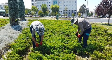 Büyükşehir, yabancı otlarla mücadele ve bakım çalışmalarına hız verdi