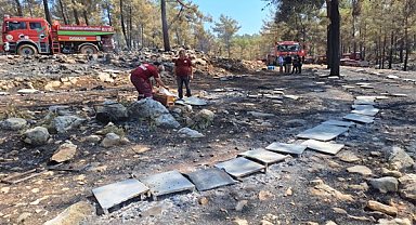 Büyükşehirden orman yangınları sonrası arıcılara destek