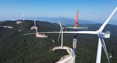 Eksim Enerji temiz enerji yatırımlarında yaban hayatını koruyor