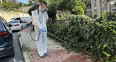 Kağıthane Belediyesi, ilaçlama çalışmalarına devam ediyor