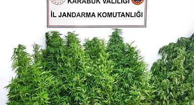 Karabük Yenice’de uyuşturucu operasyonu