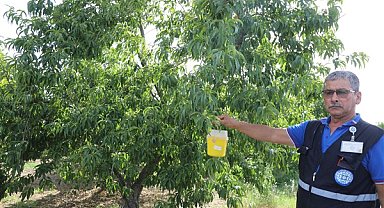 Muğla Büyükşehir Belediyesi’nden üreticilere destek