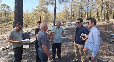 Muğla Büyükşehir Belediyesi, yangından etkilenen arıcılara destek olacak