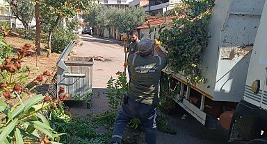 Orhangazi Belediyesinden dal toplama çalışmaları