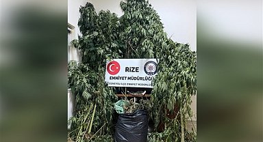 Rize'de uyuşturucu operasyonu: 6 gözaltı