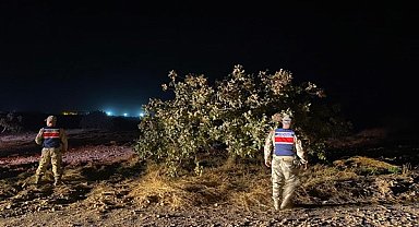 Şanlıurfa'da fıstık hırsızlıklarına karşı 24 saat kesintisiz devriye