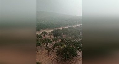 Şanlıurfa’da sağanak ve dolu yağışı fıstık üreticilerini etkiledi
