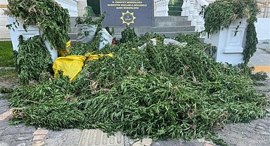 Şanlıurfa'da uyuşturucu operasyonu sonucu 6 şahıs gözaltına alındı