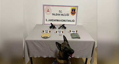 Yalova'da uyuşturucu operasyonu