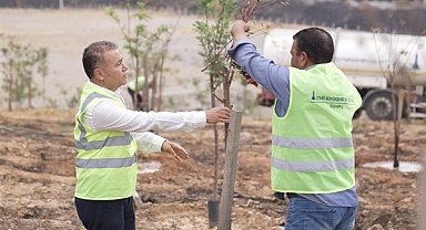 Yangın ormanında çiçekler açtı