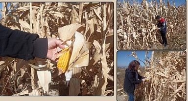 Afyonkarahisar'da Tarımsal Üretim Planlaması Eğitimi