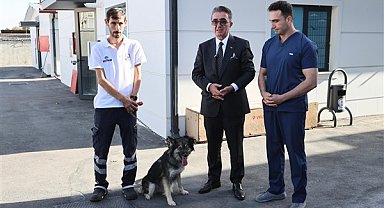 Başkan Mutlu, barınaktan köpek sahiplendi