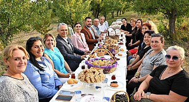 Başkan Uysal, aronya hasadına katıldı