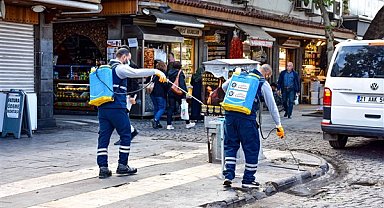 Diyarbakır'da haşerelere karşı ilaçlama yapılıyor