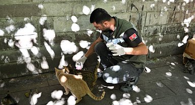 Esenyurt Belediyesi, sokak hayvanları için mama ve su desteğini sürdürüyor