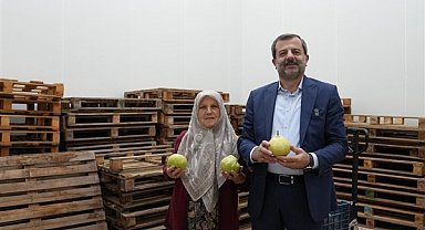 Hayriye teyze Gürsu armudu ile girişimci oldu