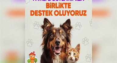 Hepsiburada, Patili Dostlara Destek kampanyasıyla dayanışmayı büyütmeye davet ediyor