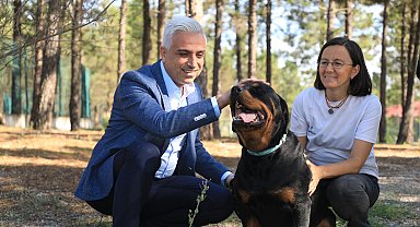 İETT, 4 sokak hayvanını sahiplendi