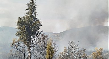 İzmir Büyükşehir Belediyesi ekipleri Foça’daki yangına müdahaleyi sürdürüyor