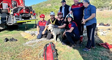 İzmir İtfaiyesi, Menderes'te kuyuya düşen keçiyi kurtardı