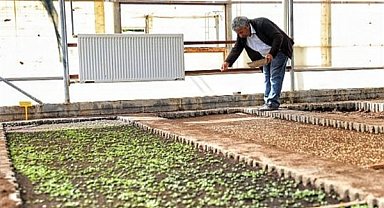 Kayapınar Belediyesinden kent geneli ve kırsal mahallelere bitki desteği