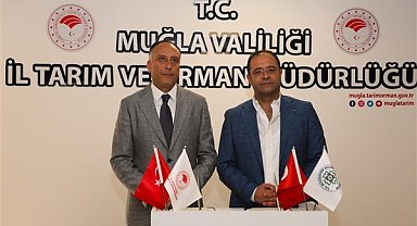 Muğla'da