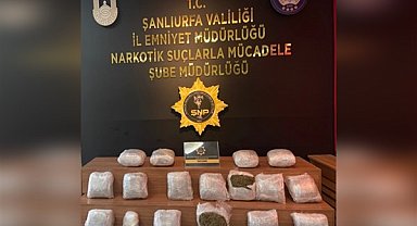 Şanlıurfa'da 18 kilo skunk ele geçirildi