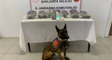 Şanlıurfa'da uyuşturucu operasyonu: 3 gözaltı