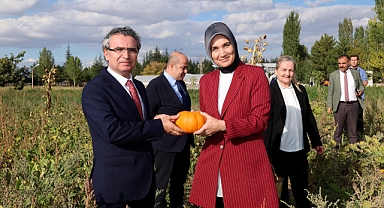 Vali Kübra Güran Yiğitbaşı, Süs Kabaklarının Hasadına Katıldı