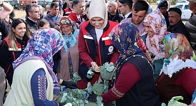 Vali Yiğitbaşı, brokoli hasadına katıldı
