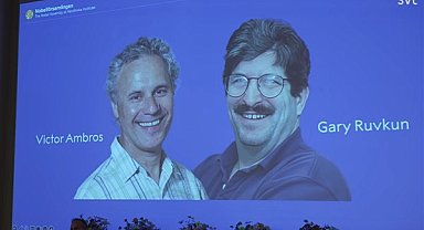 Victor Ambros ve Gary Ruvkun 2024 Nobel Tıp Ödülü'nü aldılar