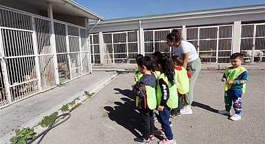 Yenimahalle’de Sahipsiz Hayvanlar Bakımevi ve Yaşam Alanı ziyaret edildi