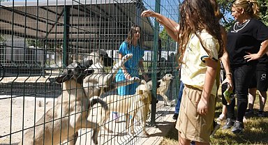 Yenişehir Belediyesi'nden hayvan bakımevine ziyaret