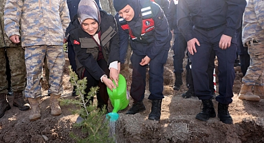 Afyonkarahisar’da 11 Kasım Milli Ağaçlandırma Günü’nde Rekor Fidan Dikimi Yapıldı