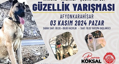 Afyonkarahisar'da 2024 Can Dostlarımız Güzellik Yarışması Başlıyor
