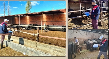 Afyonkarahisar'da Anadolu Mandasının Islahı Projesi Kapsamında Kontroller Yapıldı