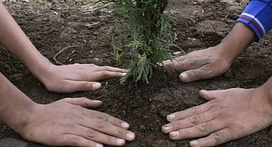 Afyonkarahisar’da Atatürk, Ölümünün 86. Yılında Fidan Dikilerek Anıldı
