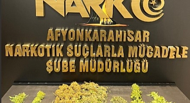 Afyonkarahisar'da Uyuşturucu ve Dolandırıcılık Operasyonları: 5 Gözaltı, 3 Tutuklama