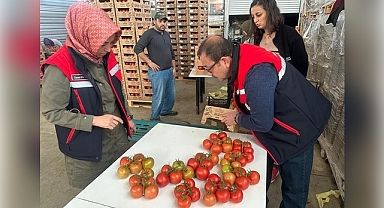 Afyonkarahisar'dan 23 Ülkeye Jeotermal Domates İhracatı