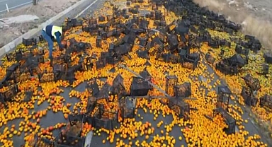 Bolvadin’de 10 Ton Mandalina Yola Savruldu: Trafik Yarım Saat Durduruldu