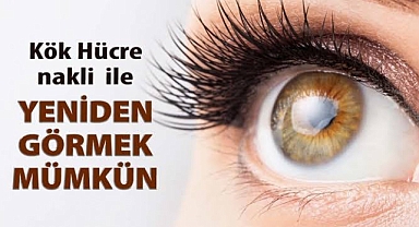 Dünyada Bir İlk: Kök Hücre Tedavisi ile Görme Yetisini Kazandılar