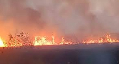 Eber Gölü Yangını Sonrası Acil Toplantı: Doğa ve Halk Sağlığı İçin İş Birliği Şart