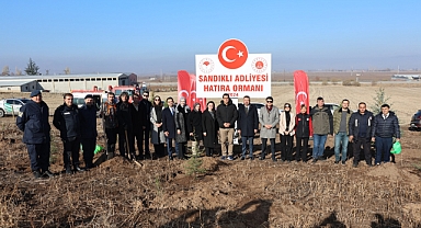 Sandıklı Adliyesi’nden Geleceğe Yeşil Miras: Hatıra Ormanı’na Ağaç Dikimi Gerçekleştirildi