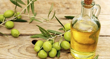 Türkiye’nin Gelecekteki Stratejik Gücü: Zeytin Ağacı ve Zeytinyağı