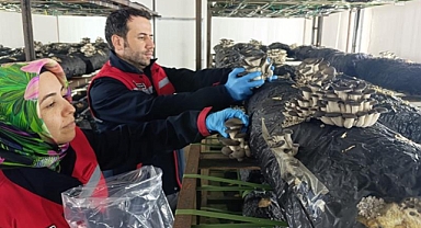 Afyonkarahisar’da Yasaklı İlaçlara Geçit Yok